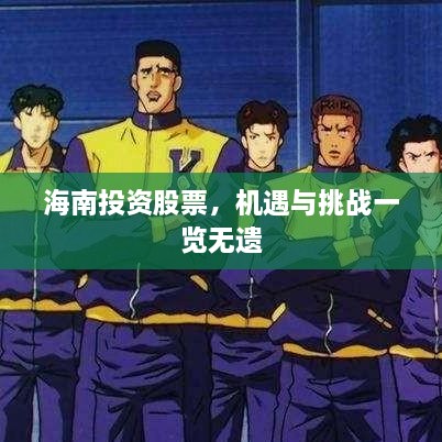海南投資股票，機(jī)遇與挑戰(zhàn)一覽無(wú)遺