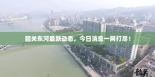 韶關(guān)東河最新動態(tài)，今日消息一網(wǎng)打盡！