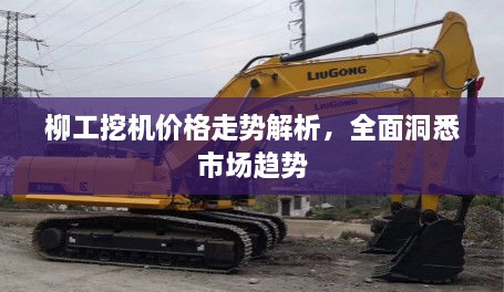 柳工挖機(jī)價(jià)格走勢(shì)解析，全面洞悉市場(chǎng)趨勢(shì)