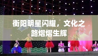 衡陽明星閃耀，文化之路熠熠生輝
