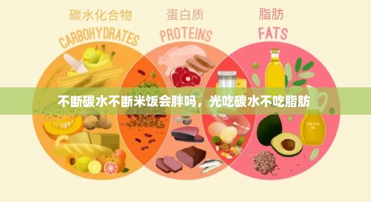 不斷碳水不斷米飯會(huì)胖嗎，光吃碳水不吃脂肪 