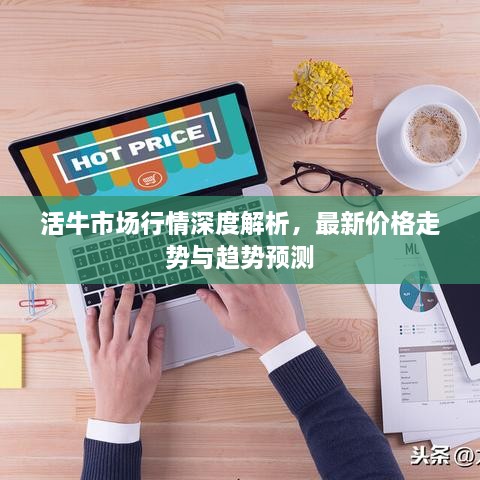 活牛市場行情深度解析，最新價格走勢與趨勢預(yù)測