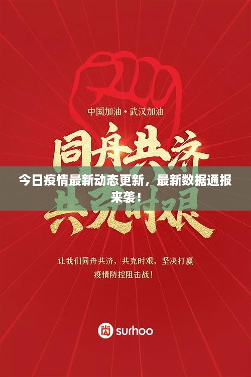 今日疫情最新動態(tài)更新，最新數(shù)據(jù)通報來襲！