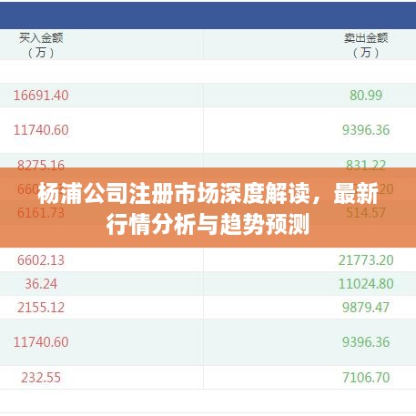 楊浦公司注冊(cè)市場(chǎng)深度解讀，最新行情分析與趨勢(shì)預(yù)測(cè)