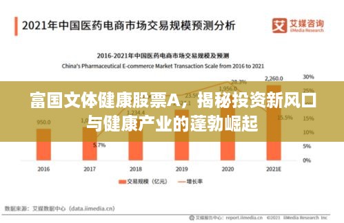 富國文體健康股票A，揭秘投資新風(fēng)口與健康產(chǎn)業(yè)的蓬勃崛起