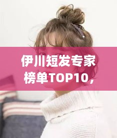 工程案例 第29頁(yè)
