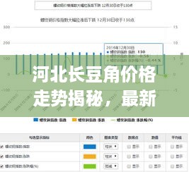 河北長豆角價格走勢揭秘，最新行情分析報告！