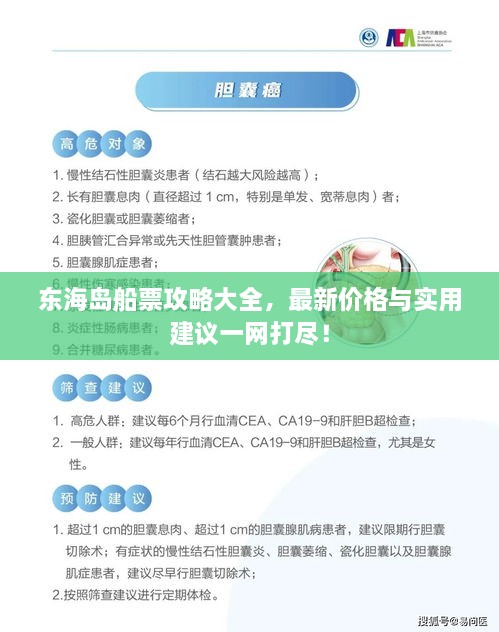 東海島船票攻略大全，最新價格與實用建議一網(wǎng)打盡！