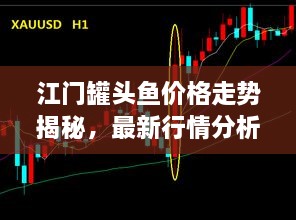 江門罐頭魚價(jià)格走勢揭秘，最新行情分析
