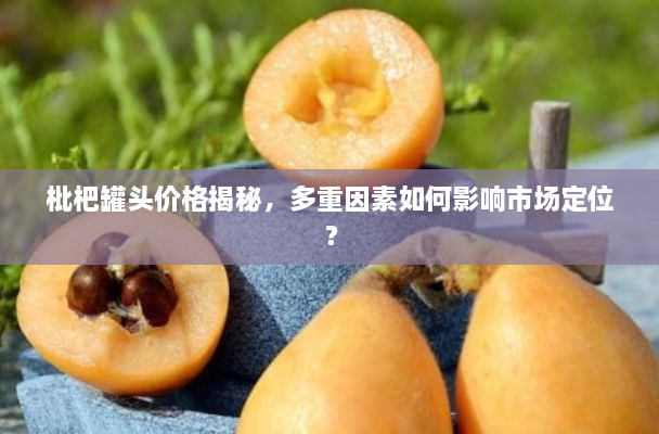 枇杷罐頭價(jià)格揭秘，多重因素如何影響市場(chǎng)定位？