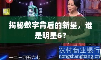 揭秘數(shù)字背后的新星，誰是明星6？