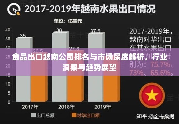 食品出口越南公司排名與市場(chǎng)深度解析，行業(yè)洞察與趨勢(shì)展望