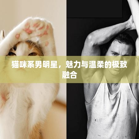 工程案例 第22頁