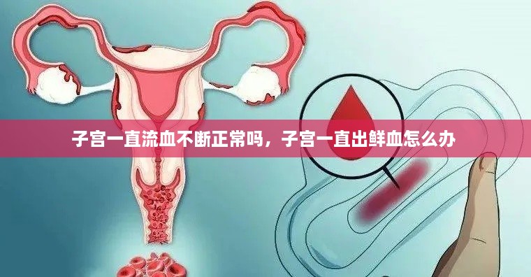 工程案例 第21頁(yè)