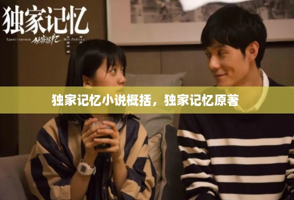 獨家記憶小說概括，獨家記憶原著 