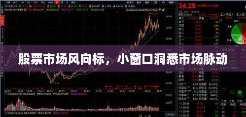 股票市場(chǎng)風(fēng)向標(biāo)，小窗口洞悉市場(chǎng)脈動(dòng)