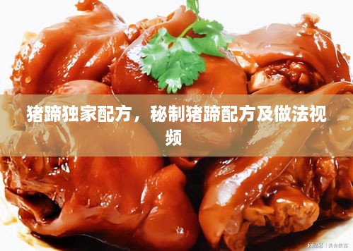 豬蹄獨家配方，秘制豬蹄配方及做法視頻 