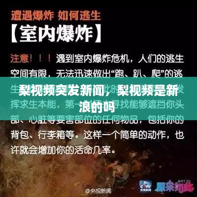 梨視頻突發(fā)新聞，梨視頻是新浪的嗎 