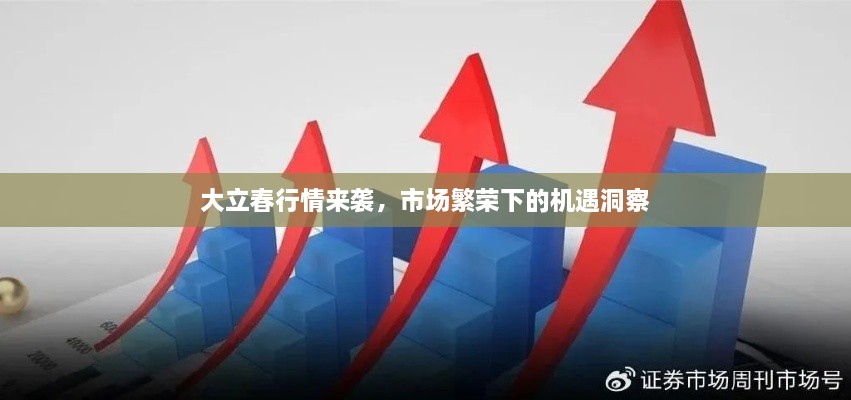 大立春行情來襲，市場繁榮下的機(jī)遇洞察