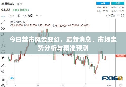 今日菜市風云變幻，最新消息、市場走勢分析與精準預測