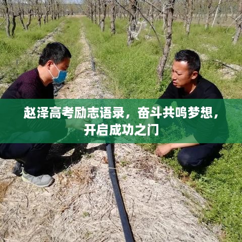 趙澤高考勵志語錄，奮斗共鳴夢想，開啟成功之門