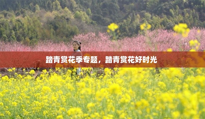 踏青賞花季專題，踏青賞花好時光 