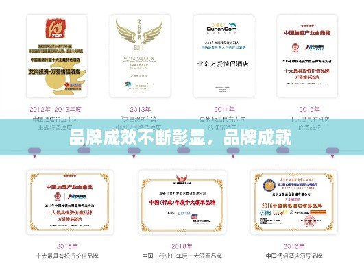 品牌成效不斷彰顯，品牌成就 