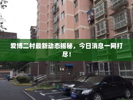 愛博二村最新動(dòng)態(tài)揭秘，今日消息一網(wǎng)打盡！