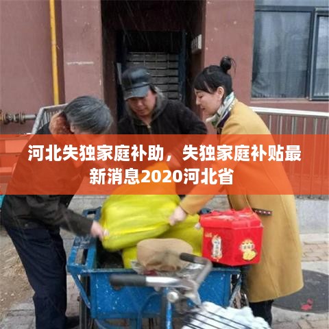 河北失獨(dú)家庭補(bǔ)助，失獨(dú)家庭補(bǔ)貼最新消息2020河北省 