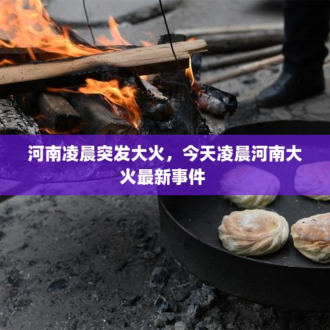 河南凌晨突發(fā)大火，今天凌晨河南大火最新事件 