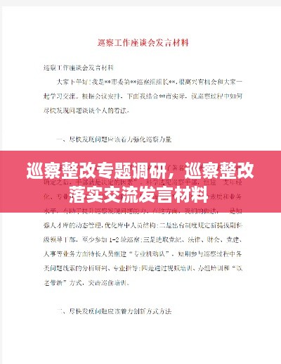 巡察整改專題調(diào)研，巡察整改落實(shí)交流發(fā)言材料 