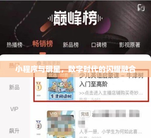 小程序與明星，數(shù)字時(shí)代的閃耀融合