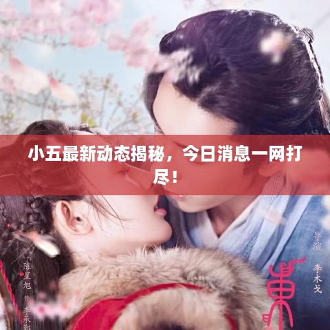 小五最新動(dòng)態(tài)揭秘，今日消息一網(wǎng)打盡！