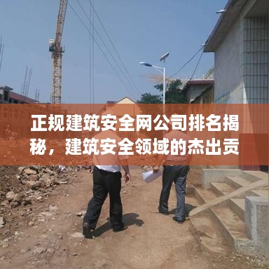 正規(guī)建筑安全網(wǎng)公司排名揭秘，建筑安全領域的杰出貢獻者
