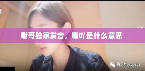 嘶哥獨家發(fā)音，嘶吖是什么意思 