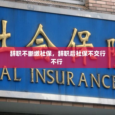辭職不斷繳社保，辭職后社保不交行不行 