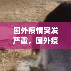 國外疫情突發(fā)嚴(yán)重，國外疫情形勢嚴(yán)峻 