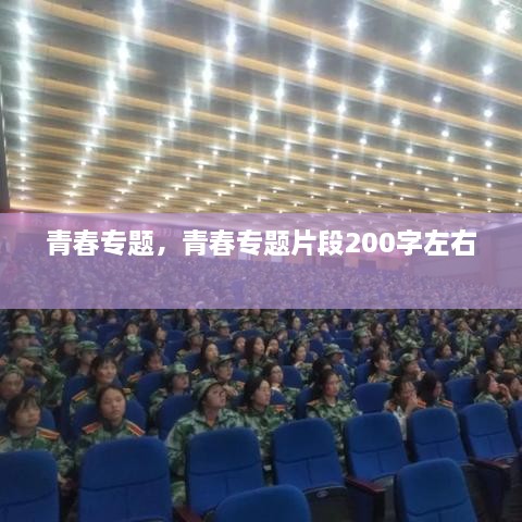 青春專題，青春專題片段200字左右 