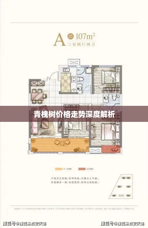產(chǎn)品展示 第9頁