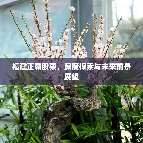 福建正霸股票，深度探索與未來(lái)前景展望