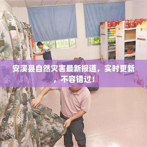 雞飛狗跳
