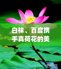 2025年4月 第6頁(yè)