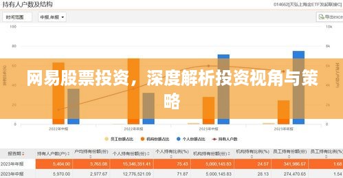 網(wǎng)易股票投資，深度解析投資視角與策略