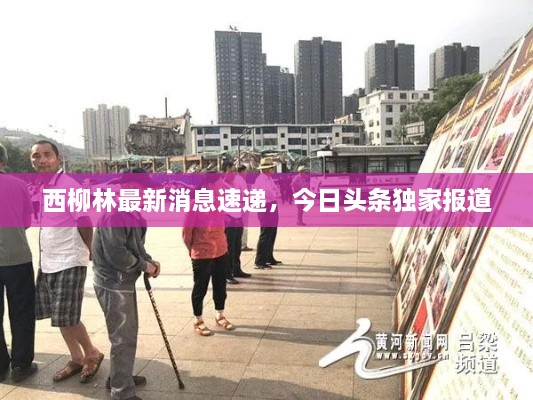 西柳林最新消息速遞，今日頭條獨(dú)家報(bào)道