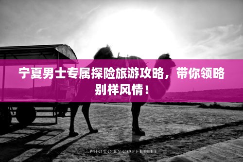 寧夏男士專屬探險(xiǎn)旅游攻略，帶你領(lǐng)略別樣風(fēng)情！