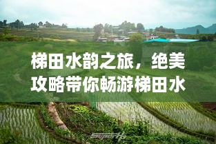 梯田水韻之旅，絕美攻略帶你暢游梯田水鄉(xiāng)