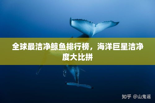 全球最潔凈鯨魚排行榜，海洋巨星潔凈度大比拼