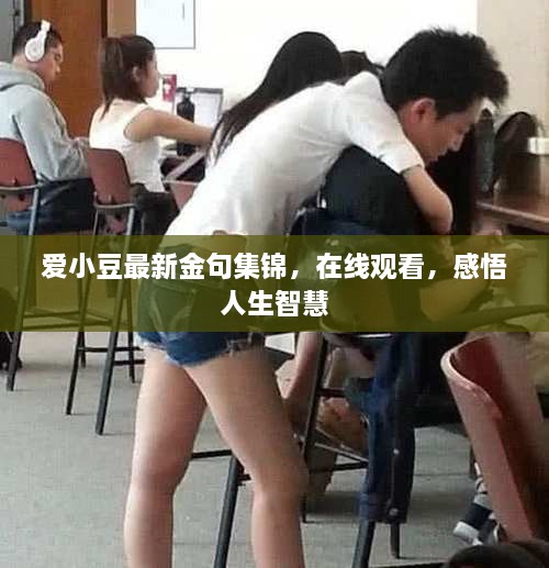 愛小豆最新金句集錦，在線觀看，感悟人生智慧