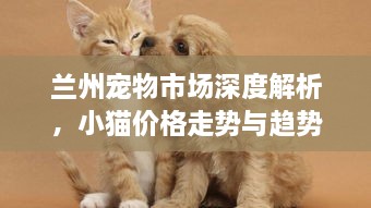 敷衍了事