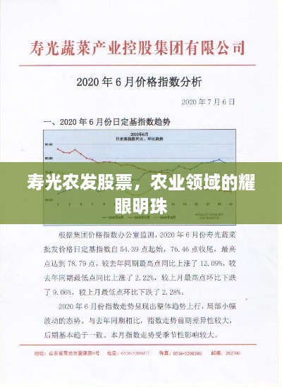 壽光農(nóng)發(fā)股票，農(nóng)業(yè)領(lǐng)域的耀眼明珠